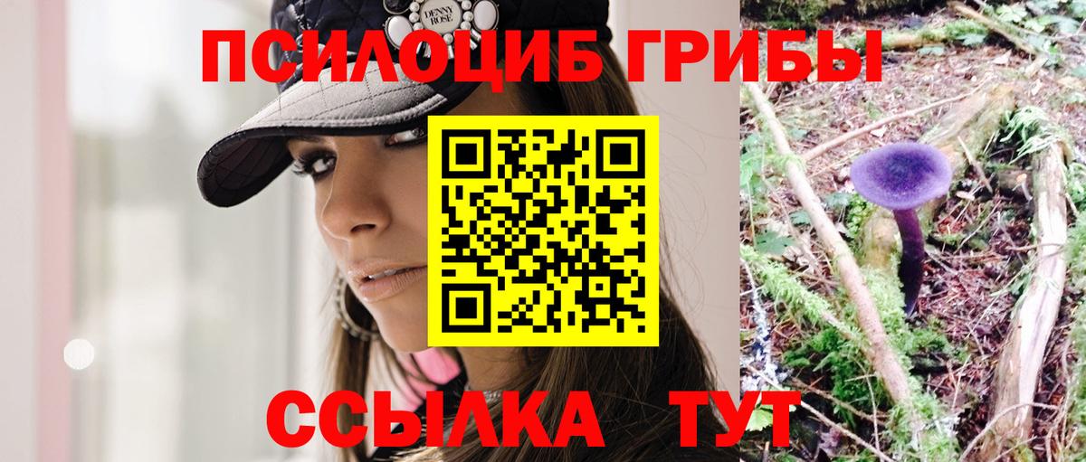 Галлюциногенные грибы ЛСД Кимры
