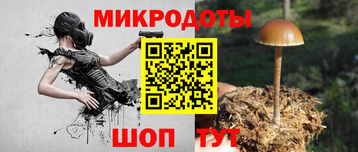 Псилоцибиновые грибы мицелий  Вход с VPN  Кимры 
